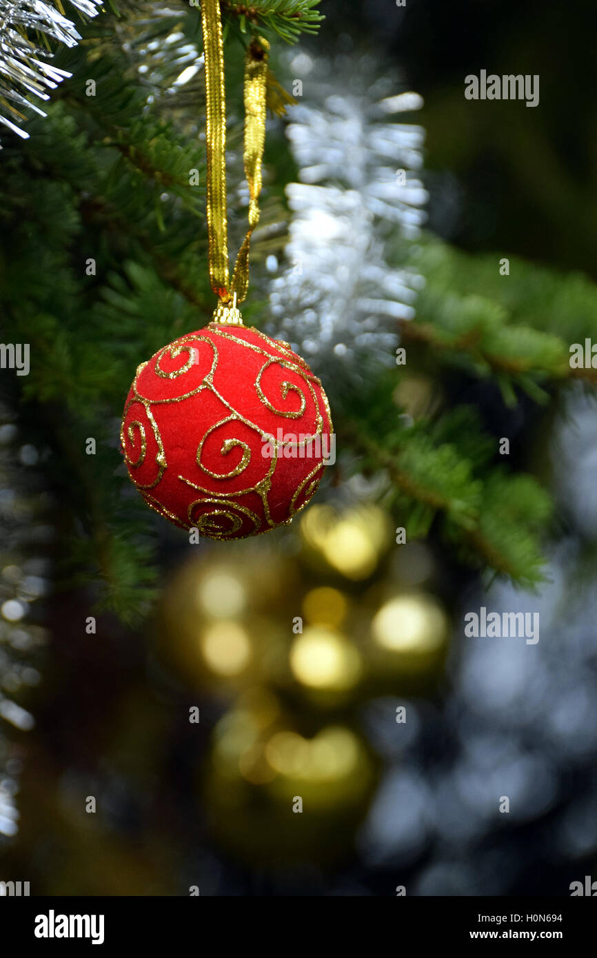 Red palla di Natale appeso a un albero di Natale. Foto Stock