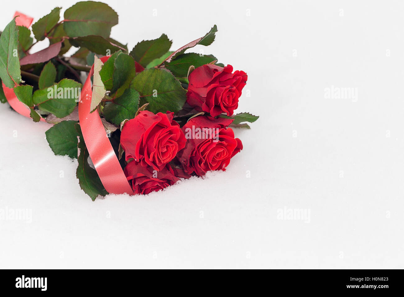 Bouquet di rose rosse sulla neve sfondo, presente per il giorno di San Valentino Foto Stock