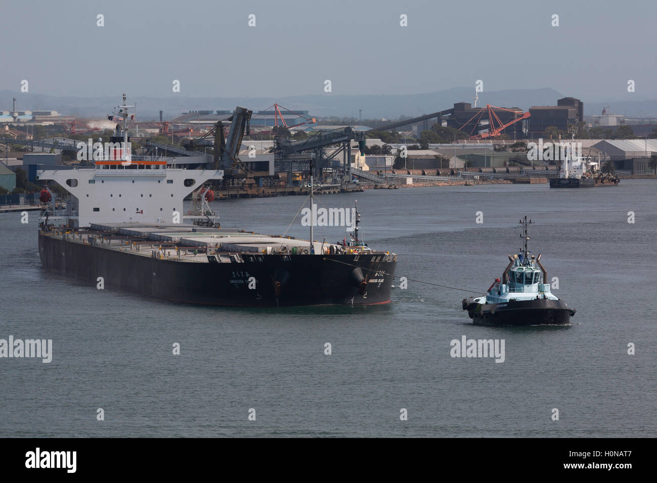 La completamente caricato, portarinfuse Amakusa Isola con partenza dal porto di Newcastle assistita da tre rimorchiatori Newcastle Australia Foto Stock