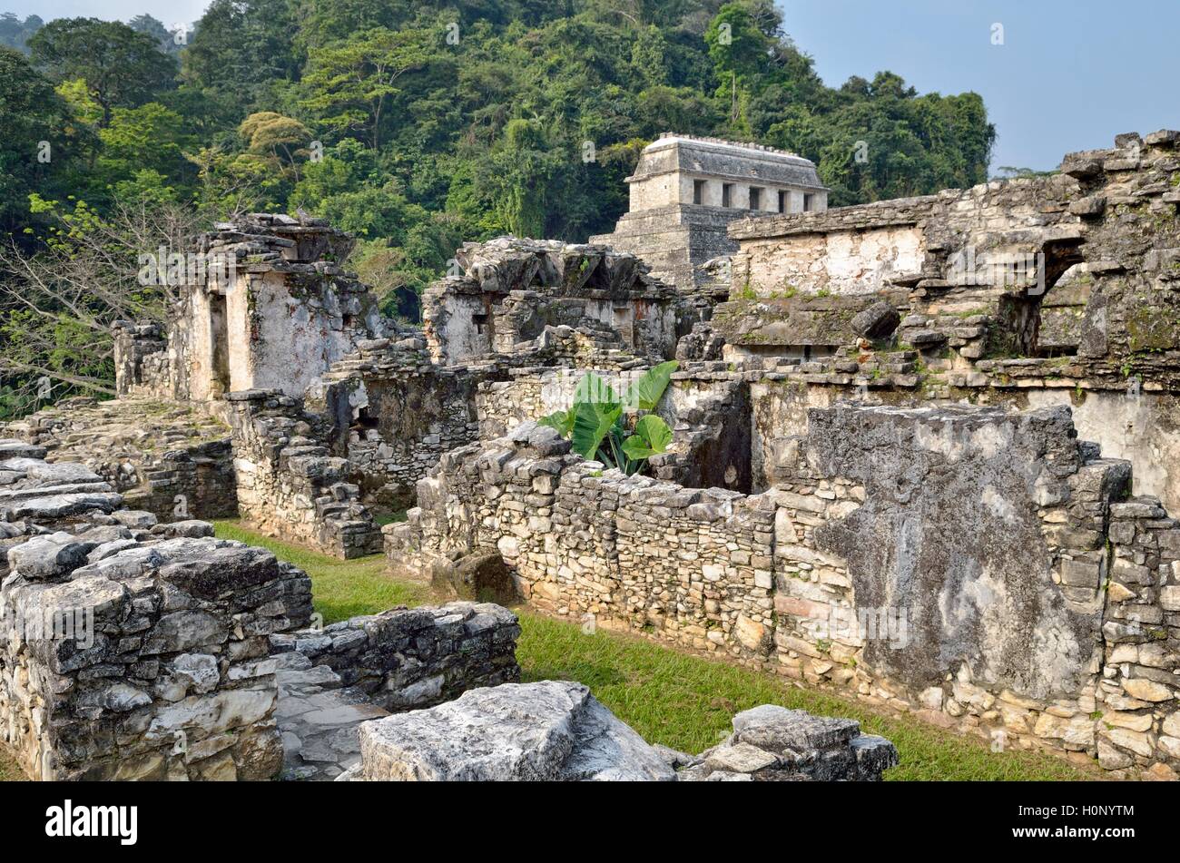 El Palacio, vista parziale, Tempio di iscrizioni alle spalle, le rovine Maya di Palenque, Chiapas, Messico Foto Stock