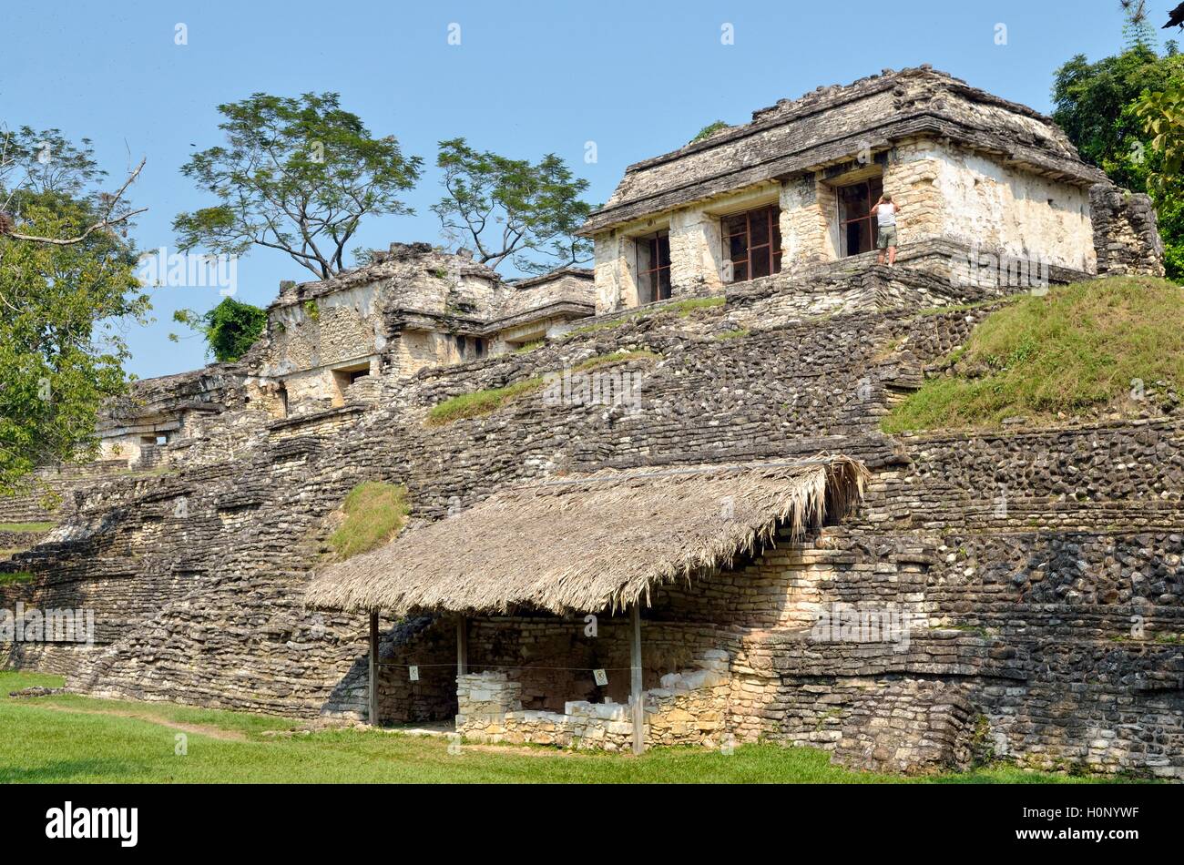 Tempio di Grupo Norte, rovine Maya di Palenque, Chiapas, Messico Foto Stock