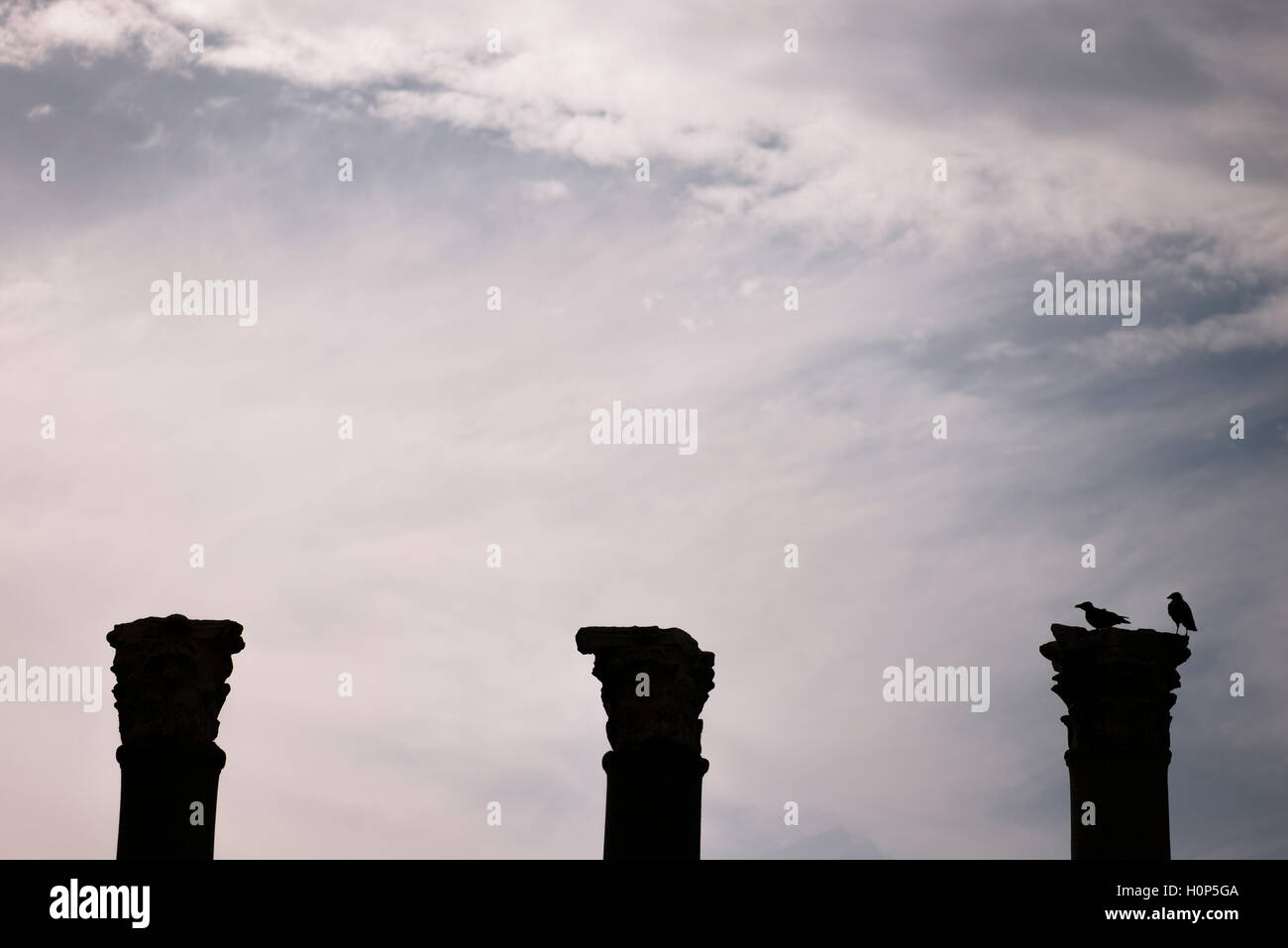 Silhouette di tre colonne e due corvi su una colonna in città antica agora Izmir Basmane Turchia. Foto Stock