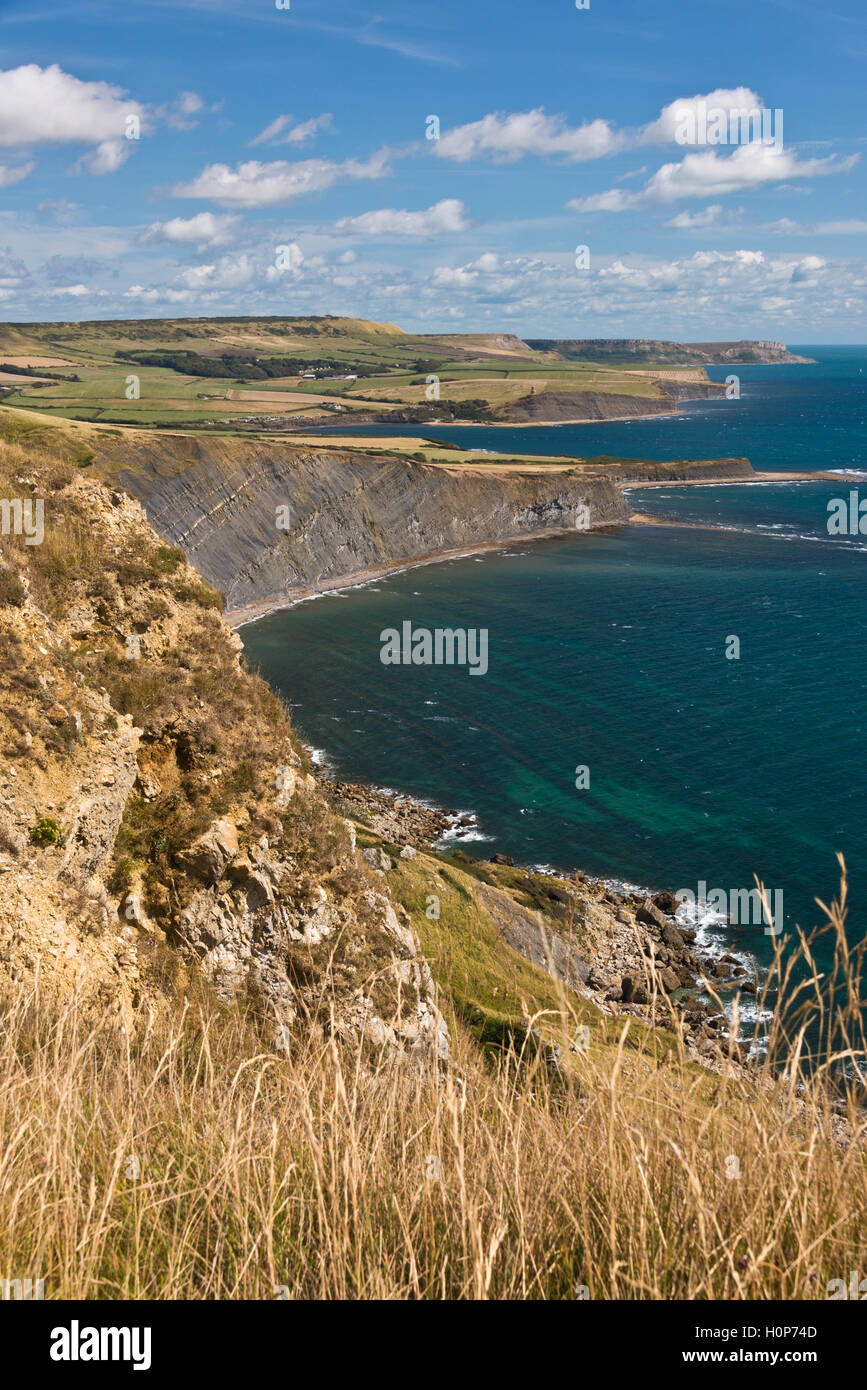 Guardando ad est dal cappuccio Tyneham lungo la costa del Dorset verso il Brandy Bay; lungo Ebb, Hobarrow Bay e ampio banco Foto Stock