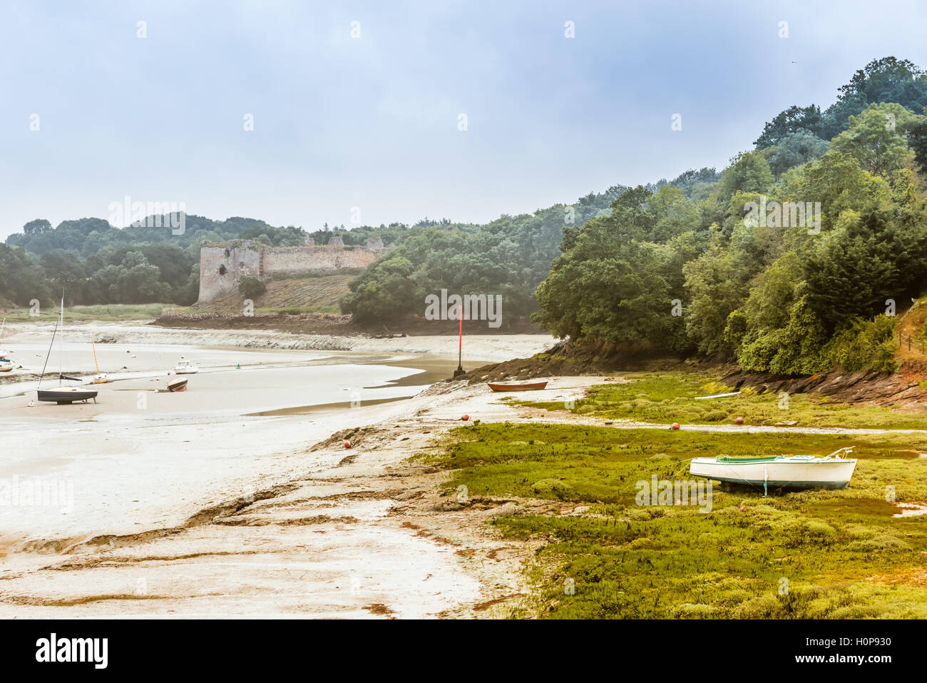 Panorama della Bretagna Bretagne costa a bassa marea, Francia Foto Stock