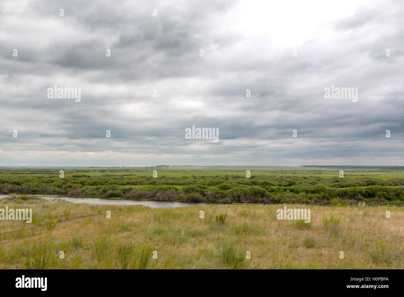 L'alta collina nelle steppe del fiume Foto Stock