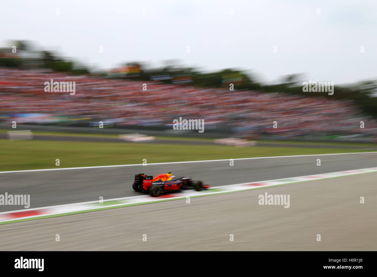 Daniel Ricciardo, la Red Bull Racing, GP Italia 2016, Monza Foto Stock