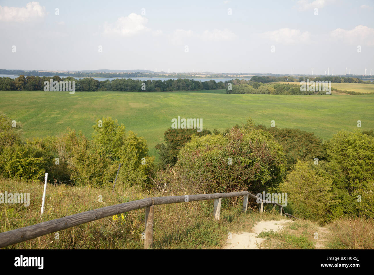 Percorso fino al Kleiner Rummelsberg e vista sull'Parsteiner vedere, Barnim / Uckermark, Brandeburgo, Germania Foto Stock