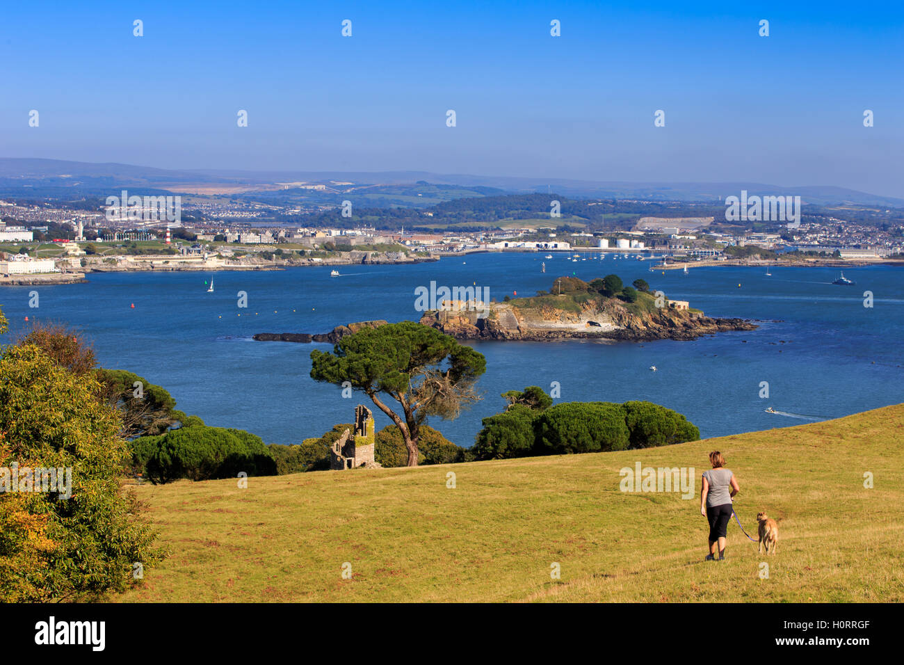 Plymouth Hoe e suono con Dartmoor al di là dal parco dei cervi a Mount Edgcumbe in Cornovaglia. Foto Stock