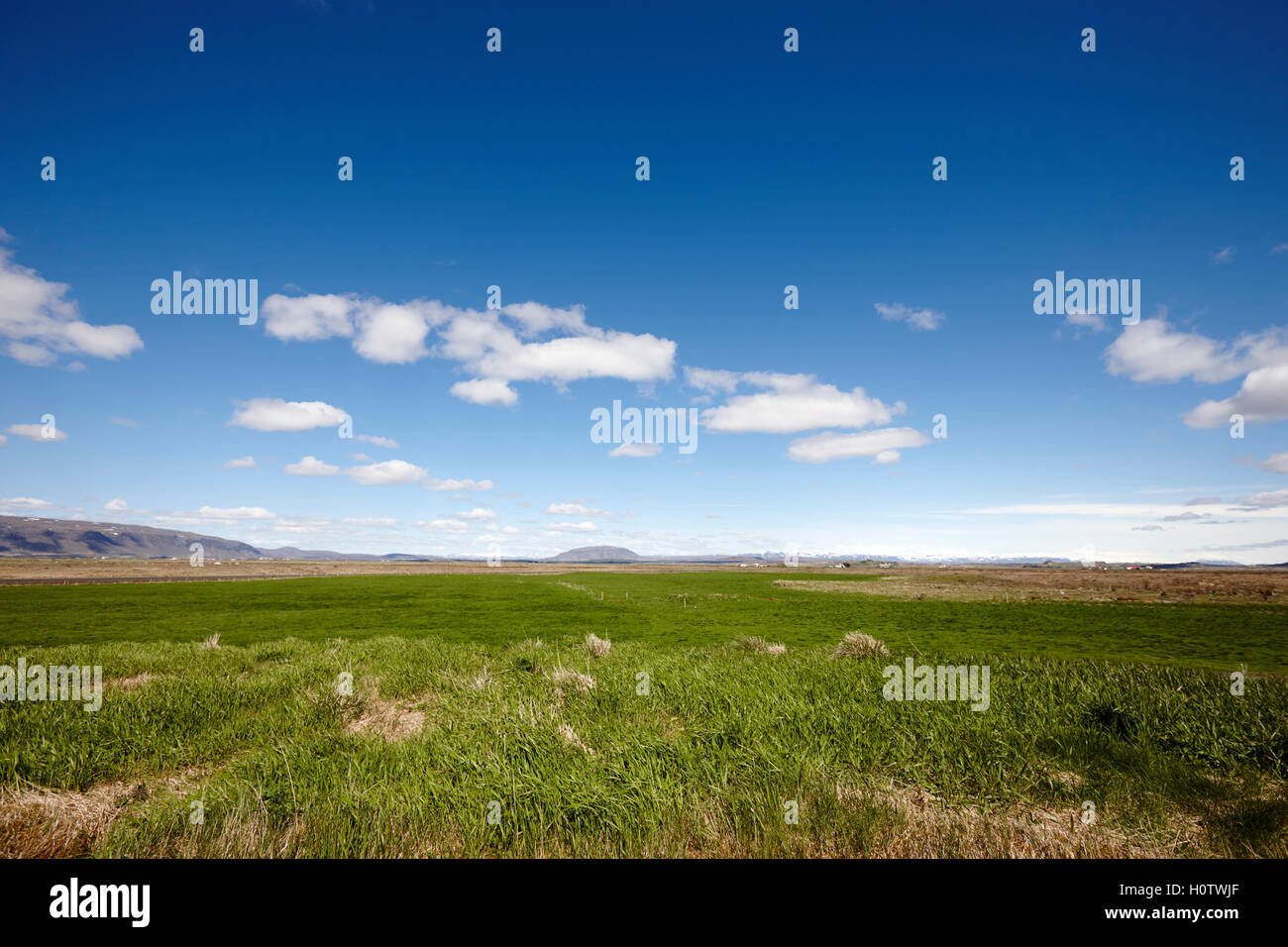 Le nuvole in un cielo blu su una lussureggiante valle fertile di terreni agricoli in Islanda Foto Stock