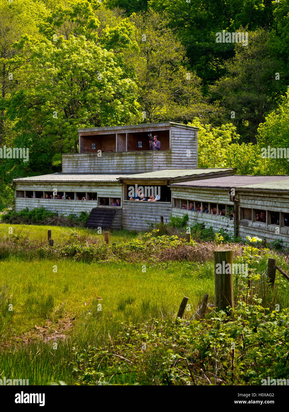 I visitatori in legno nasconde a Gigrin Farm Red Kite feeding centre vicino Rhayader in Powys Wales UK Foto Stock