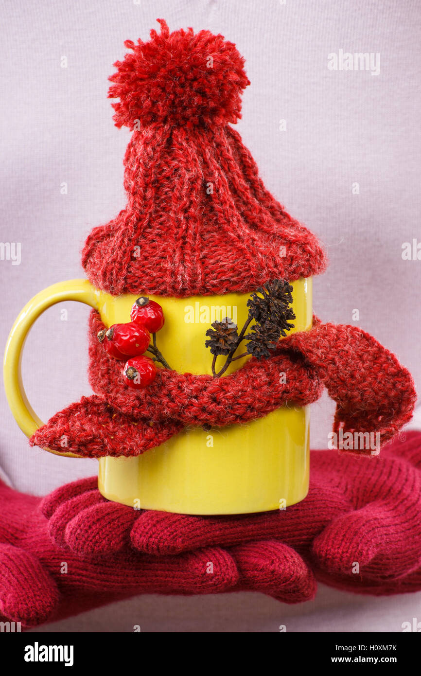La mano della donna nei guanti di lana azienda tazza di tè con sciarpa e cappuccio, drink di riscaldamento Foto Stock