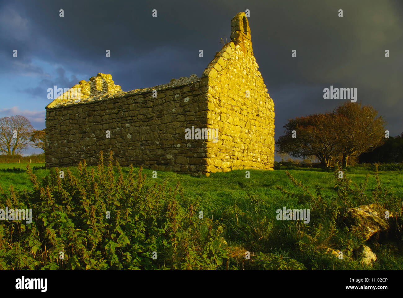 Vecchio rudere della cappella Lligwy, Anglesey, Galles Foto Stock