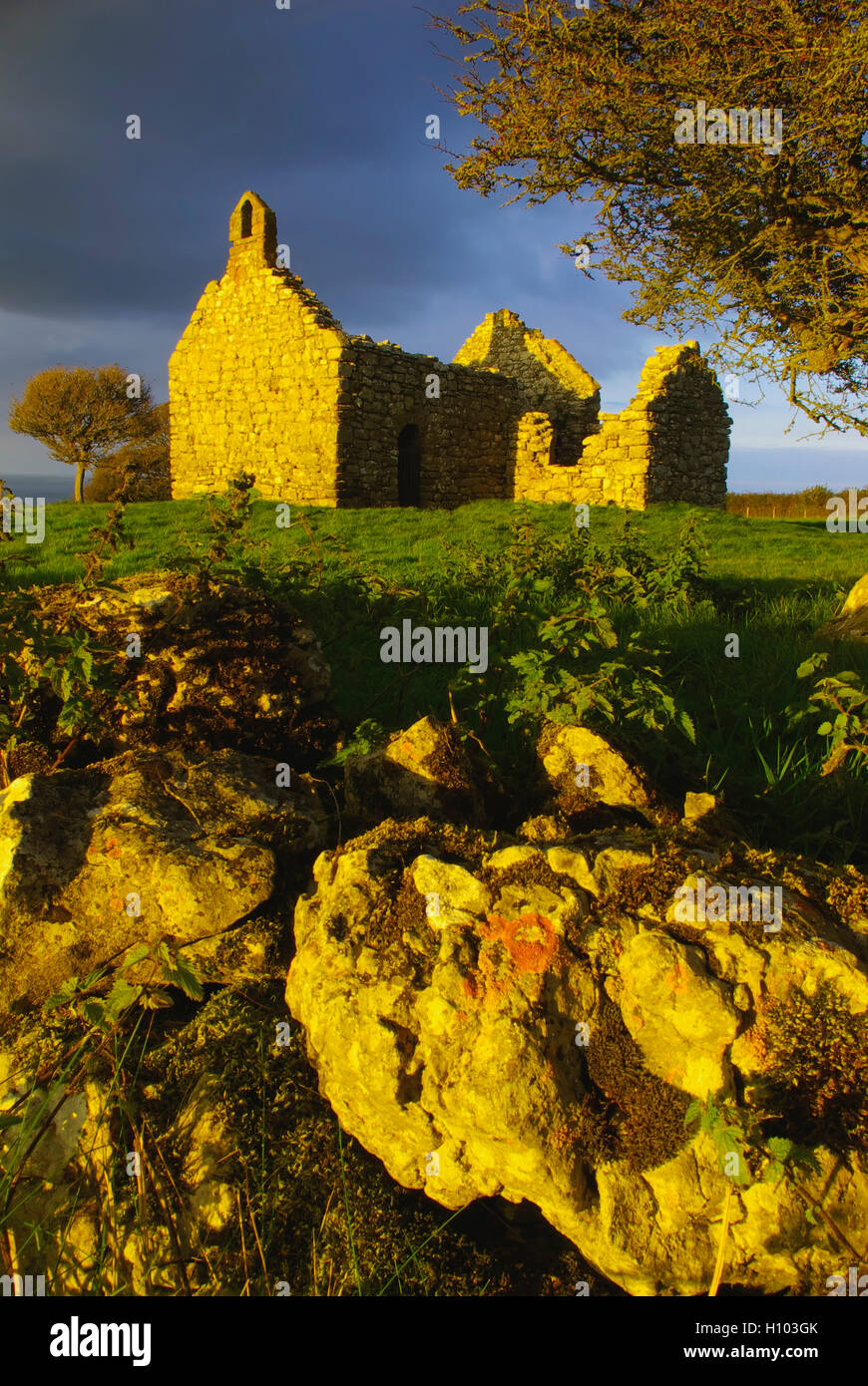 Vecchio rudere della cappella Lligwy, Anglesey, Galles Foto Stock