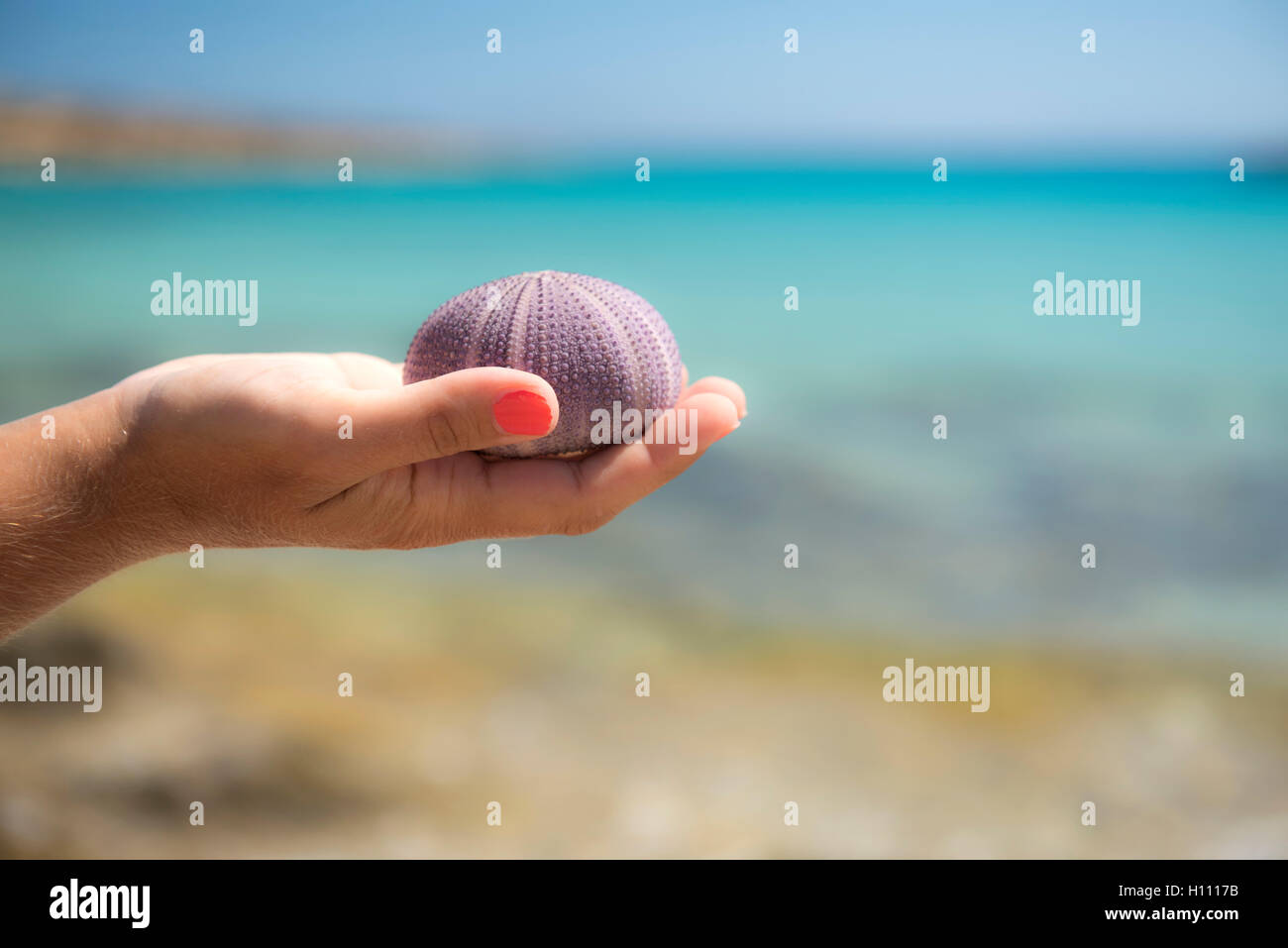 Koufonissia, Cicladi, Grecia.La bellezza di ricci di mare nelle mani di una donna.in background sul bellissimo mare blu Foto Stock