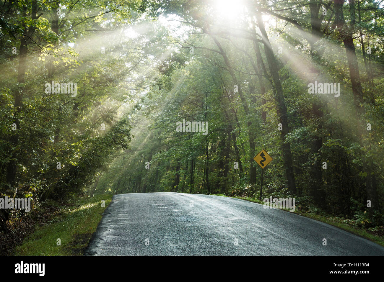 Strada tortuosa con segno e sun alberi con striature Foto Stock