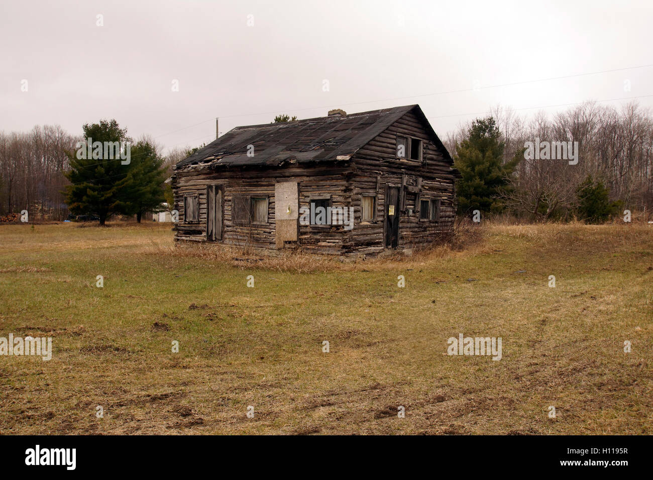 Vecchio rustico del homesteader log cabin Foto Stock