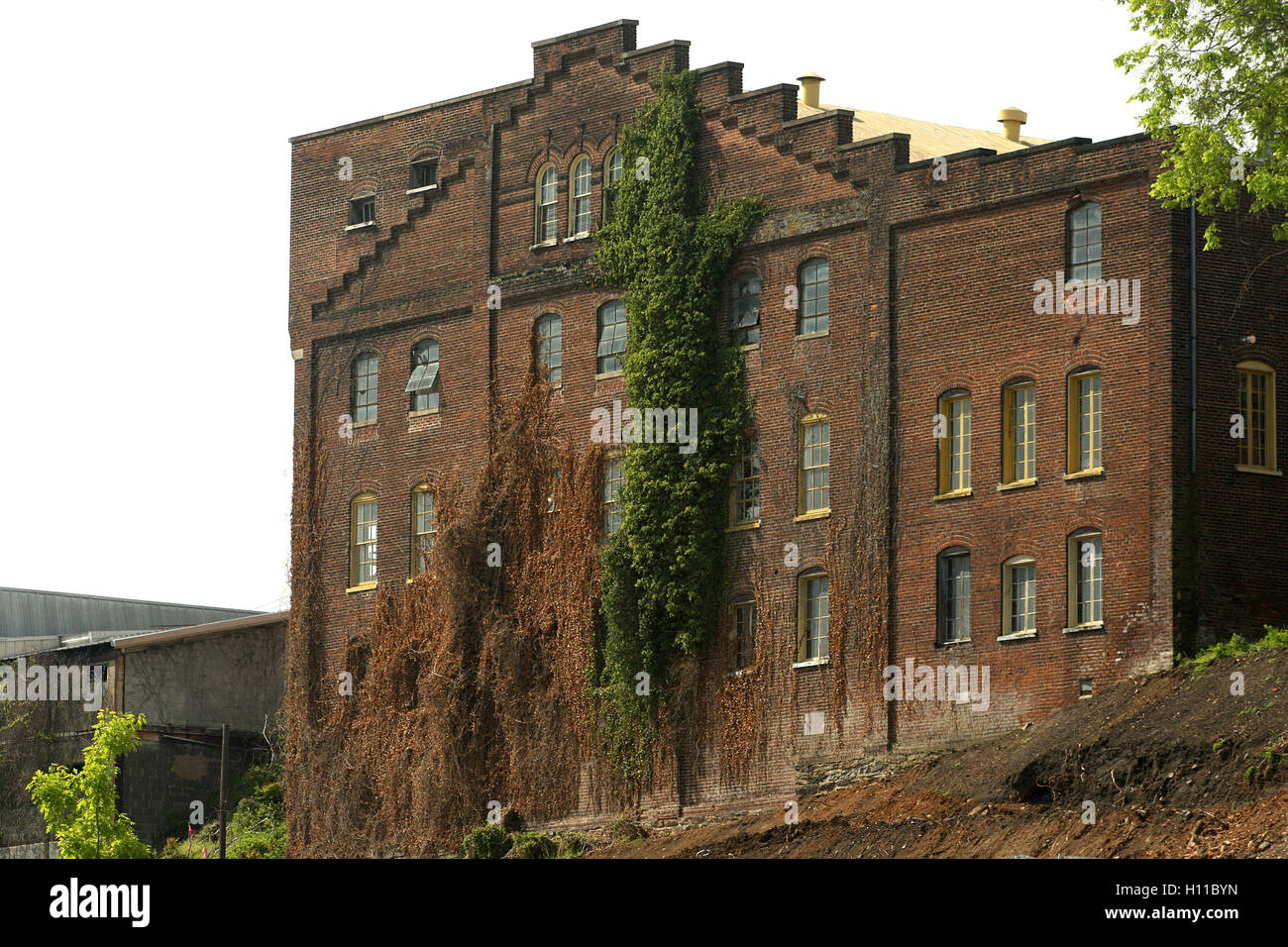 Lynchburg, Virginia, Stati Uniti. Vista posteriore dei Lofts imperiali del tabacco, una volta Imperial Tobacco Company, costruito nel 1898. Foto Stock