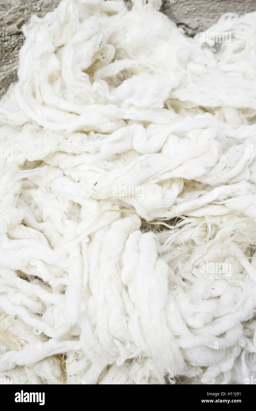 Matassa di lana di pecora e pelo di moda e tessuto Foto Stock