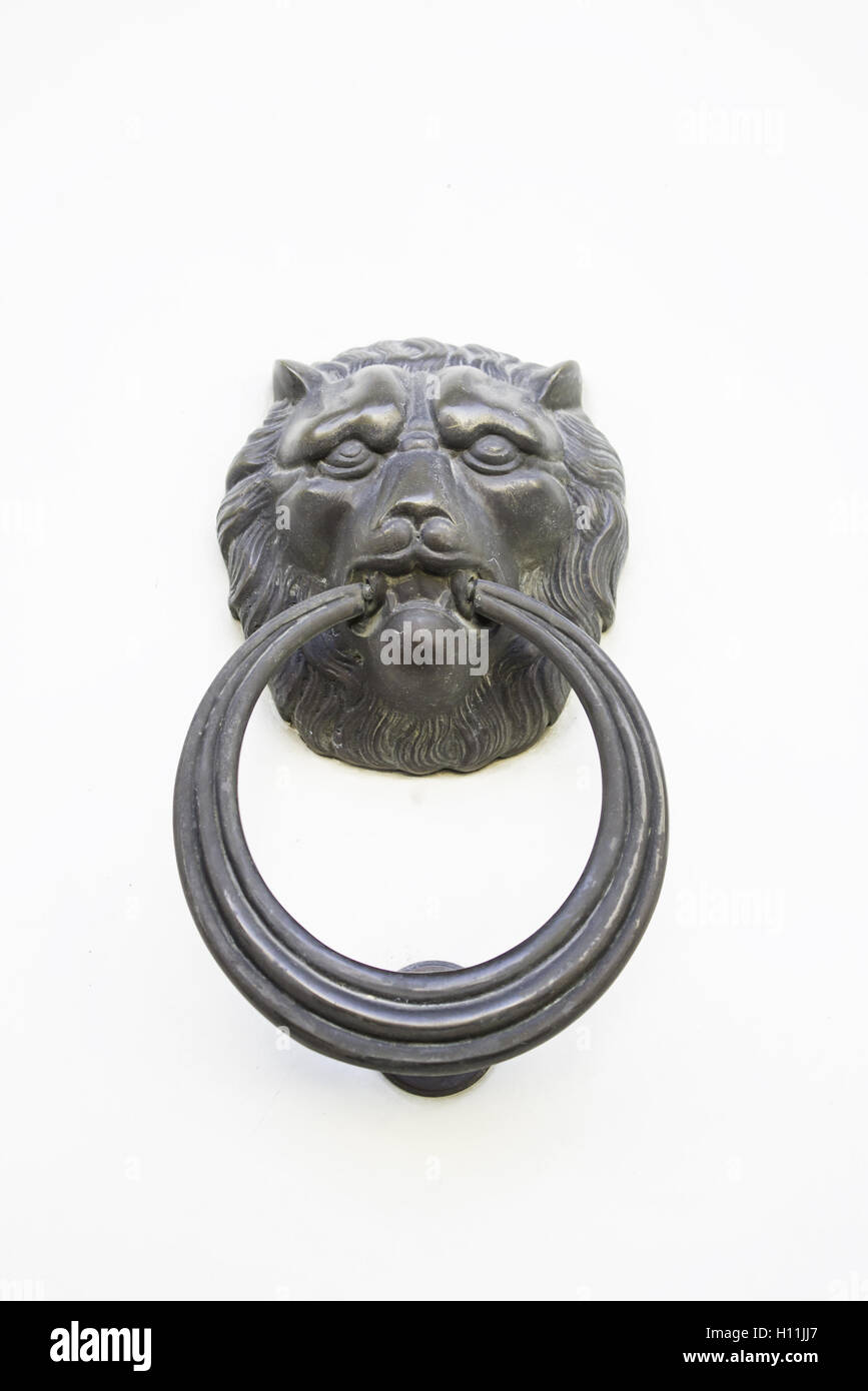 Lion ferro porta di legno, edilizia e costruzioni Foto Stock