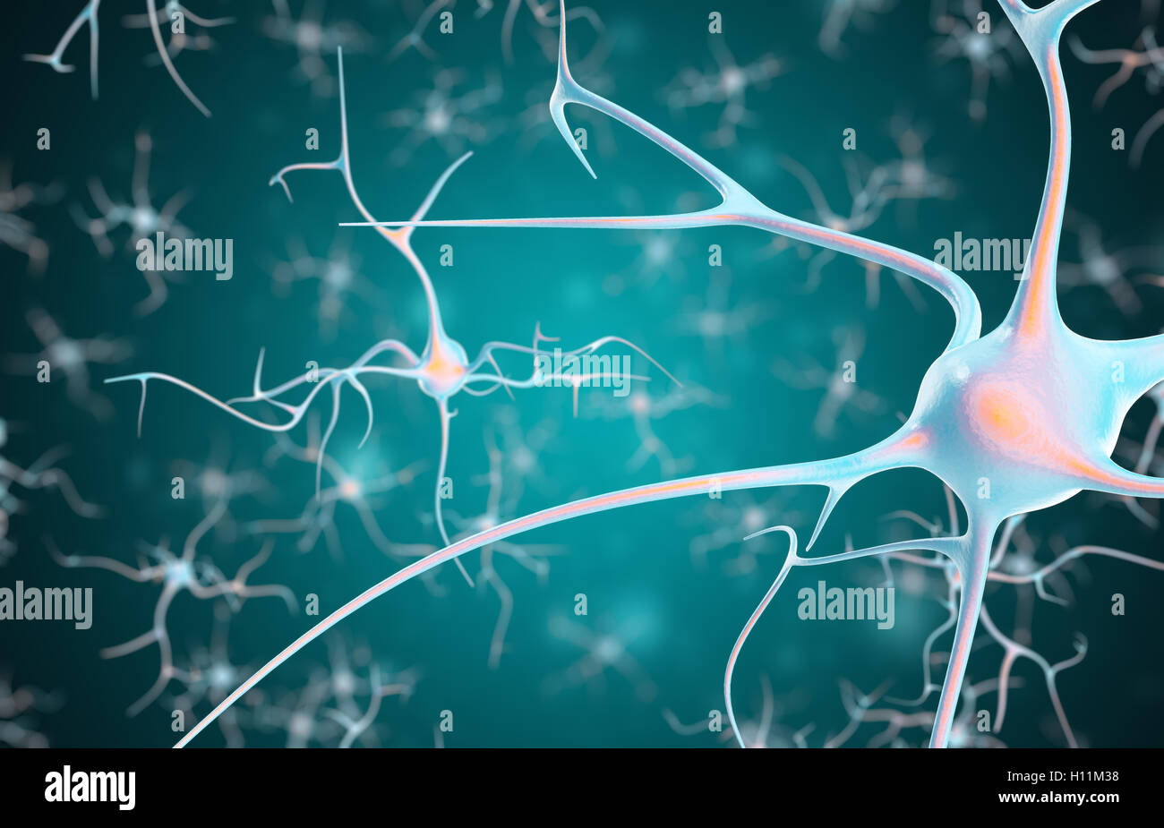 I neuroni nel cervello con effetto di messa a fuoco. Il rendering 3D Foto Stock