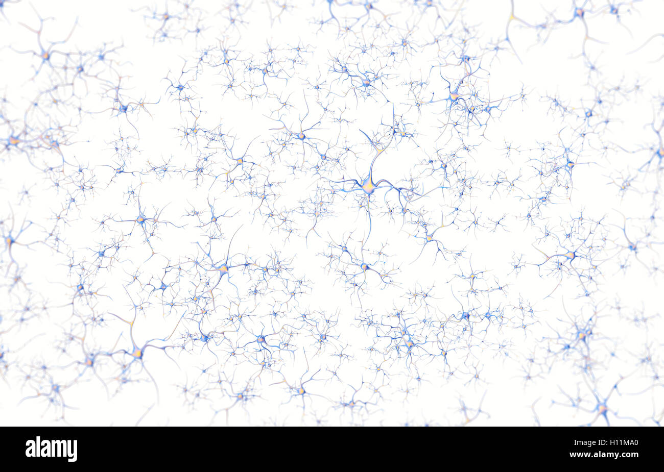 I neuroni nel cervello su sfondo bianco con effetto di messa a fuoco. Il rendering 3D Foto Stock