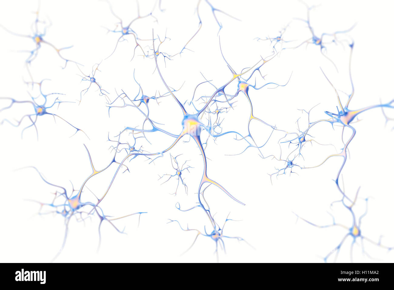 I neuroni nel cervello su sfondo bianco con effetto di messa a fuoco. Il rendering 3D Foto Stock