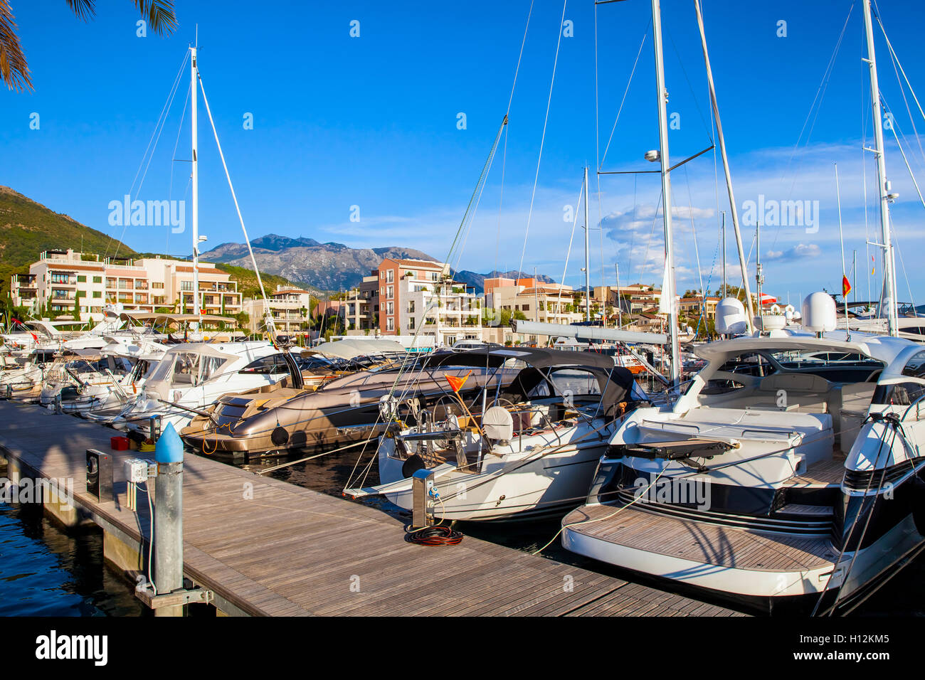 Porto Montenegro nella Baia di Kotor. Foto Stock