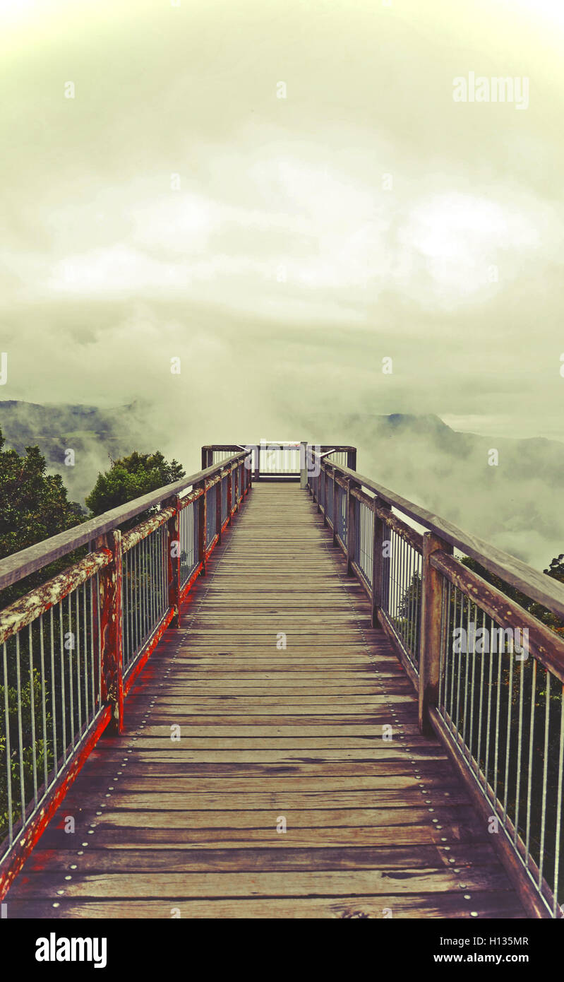 Etereo passerella in legno che conduce in basso il cloud al di sopra delle montagne. Drammatico, moody tono. Dorrigo National Park, NSW, Australia Foto Stock