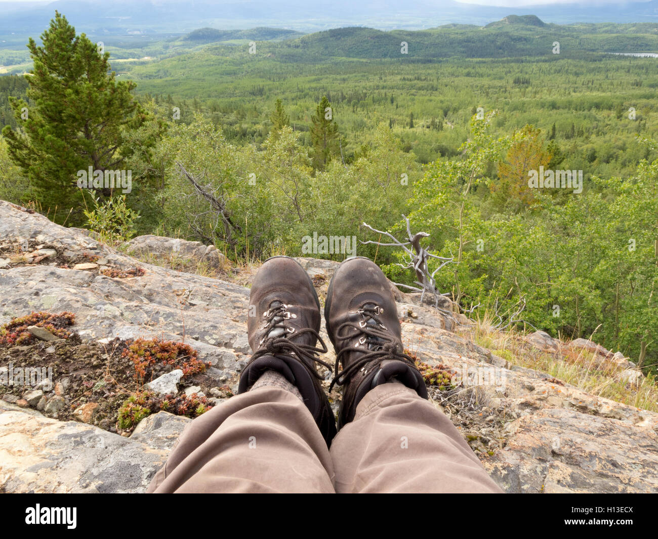 Appoggio la taiga escursionista Yukon Territory Canada Foto Stock