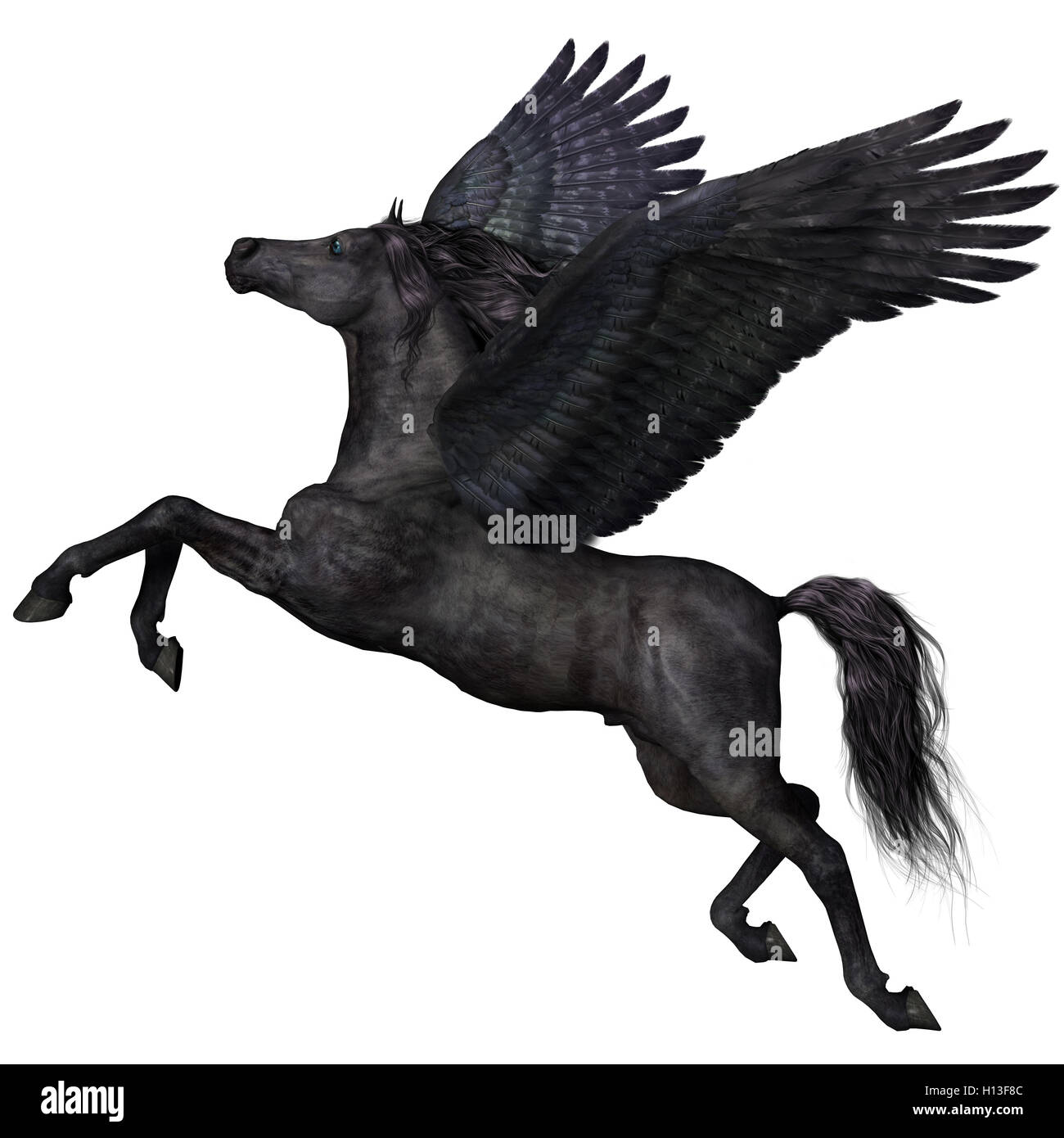 Nero Profilo Pegasus Foto Stock