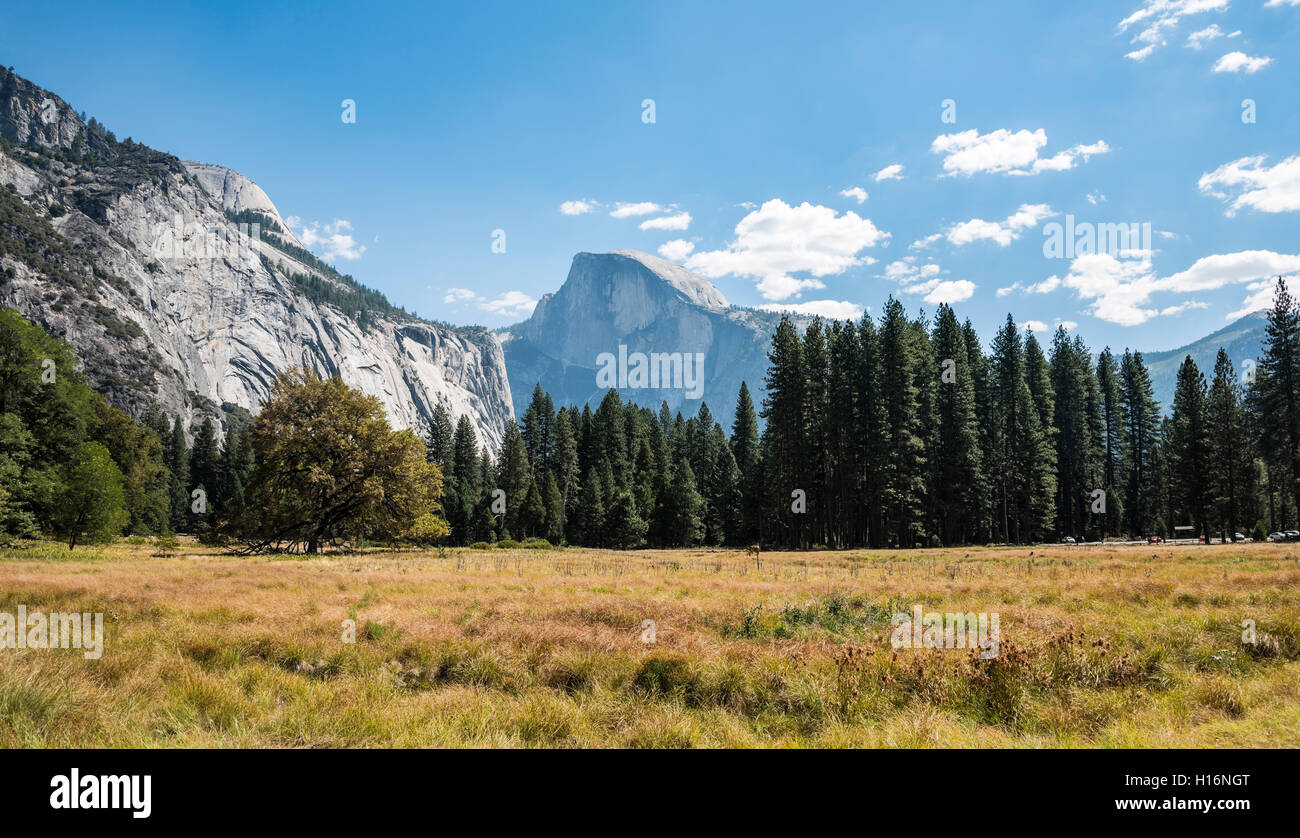 Paludi, montagne, mezza cupola dietro, Yosemite Valley, del Parco Nazionale Yosemite, Sito Patrimonio Mondiale dell'UNESCO, CALIFORNIA, STATI UNITI D'AMERICA Foto Stock