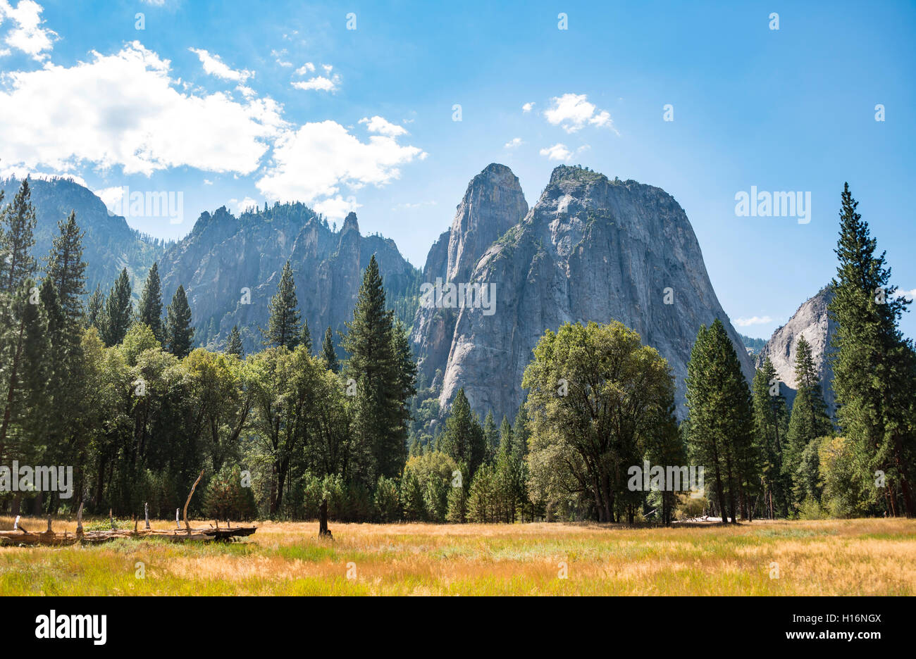 Le paludi nella valle di Yosemite, del Parco Nazionale Yosemite, Sito Patrimonio Mondiale dell'UNESCO, CALIFORNIA, STATI UNITI D'AMERICA Foto Stock