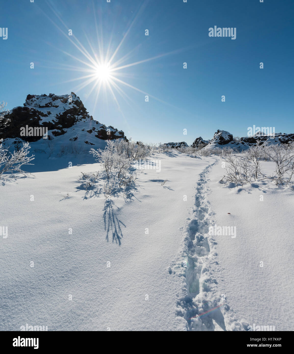 Sole, tracce nella neve, campo di lava coperto di neve, Krafla sistema vulcanico, Dimmuborgir Parco Nazionale, Mývatn, Islanda Foto Stock