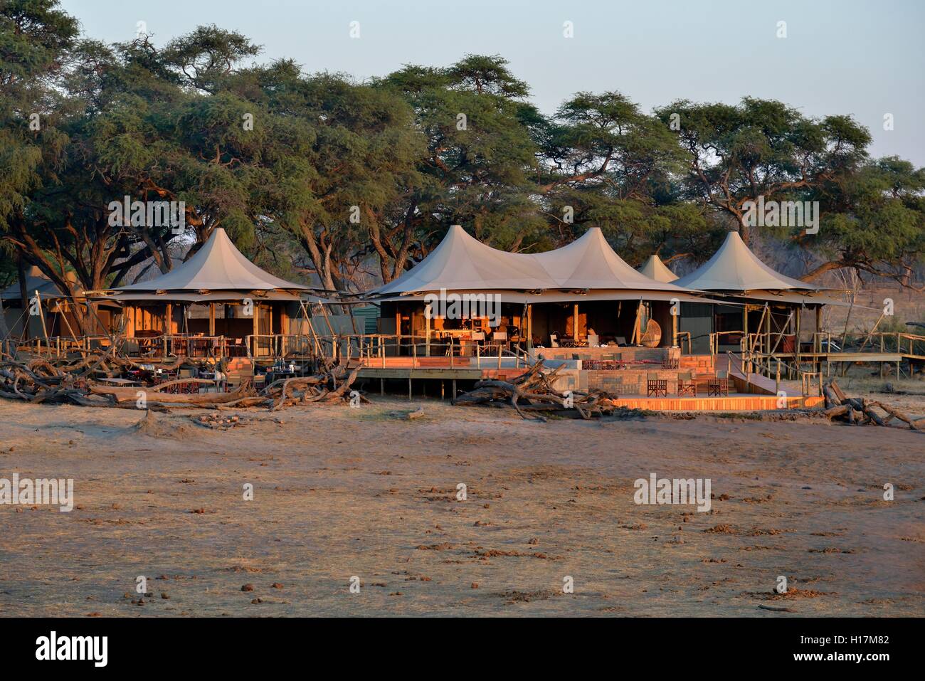 Somalisa Camp nella luce della sera, Parco Nazionale di Hwange, Matabeleland North Provincia, Zimbabwe Foto Stock