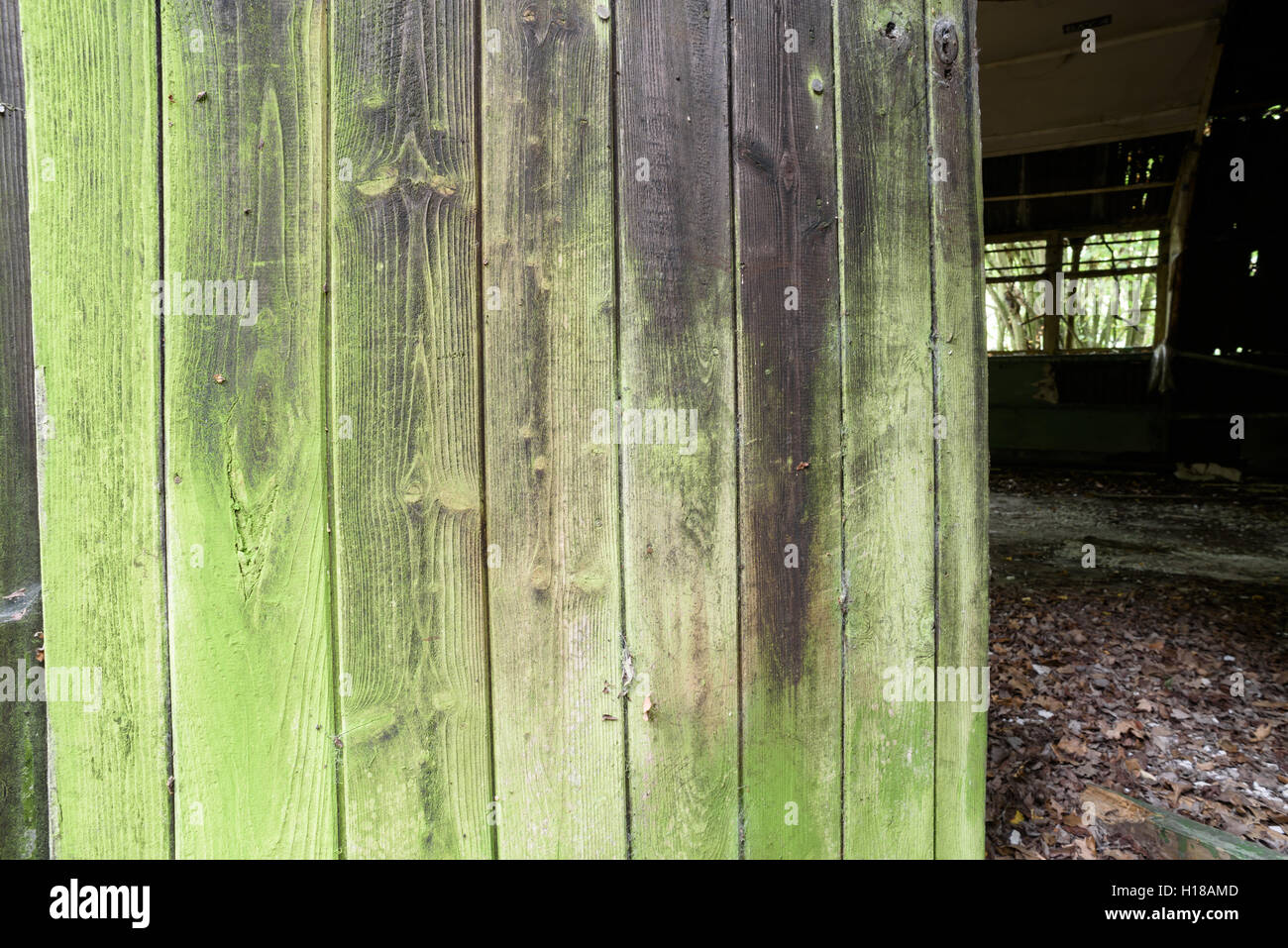 Invecchiamento della vecchia porta di legno coperto di muffa verde lichene  e su un edificio abbandonato Foto stock - Alamy