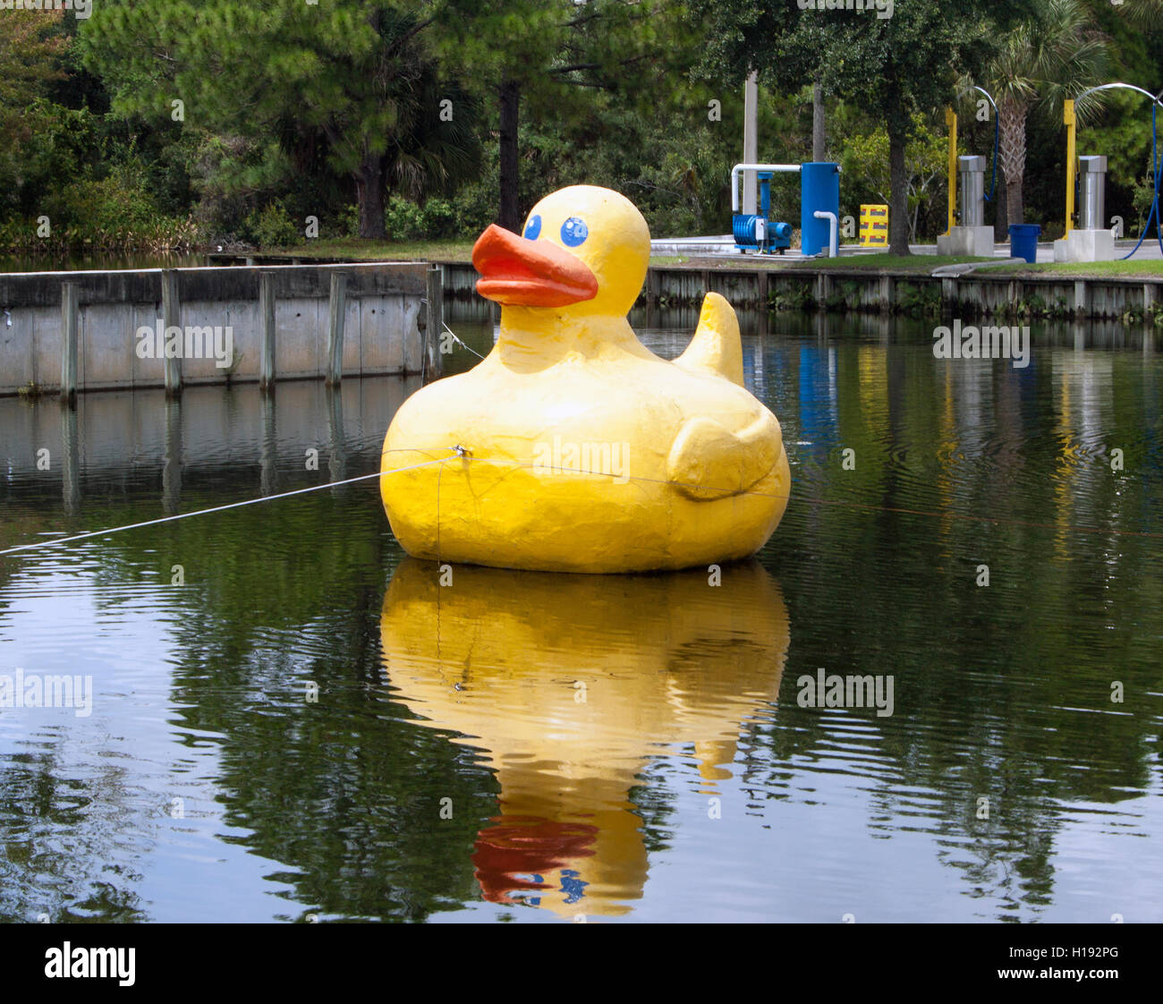 A Jacksonville, Florida, galleggia un'enorme anatra di gomma di colore giallo brillante, che delizia i visitatori con il suo fascino giocoso come un'attrazione bizzarra sul lungomare. Foto Stock