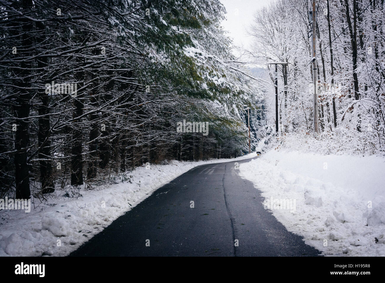 Country Road durante l'inverno nelle zone rurali Carroll County, Maryland. Foto Stock