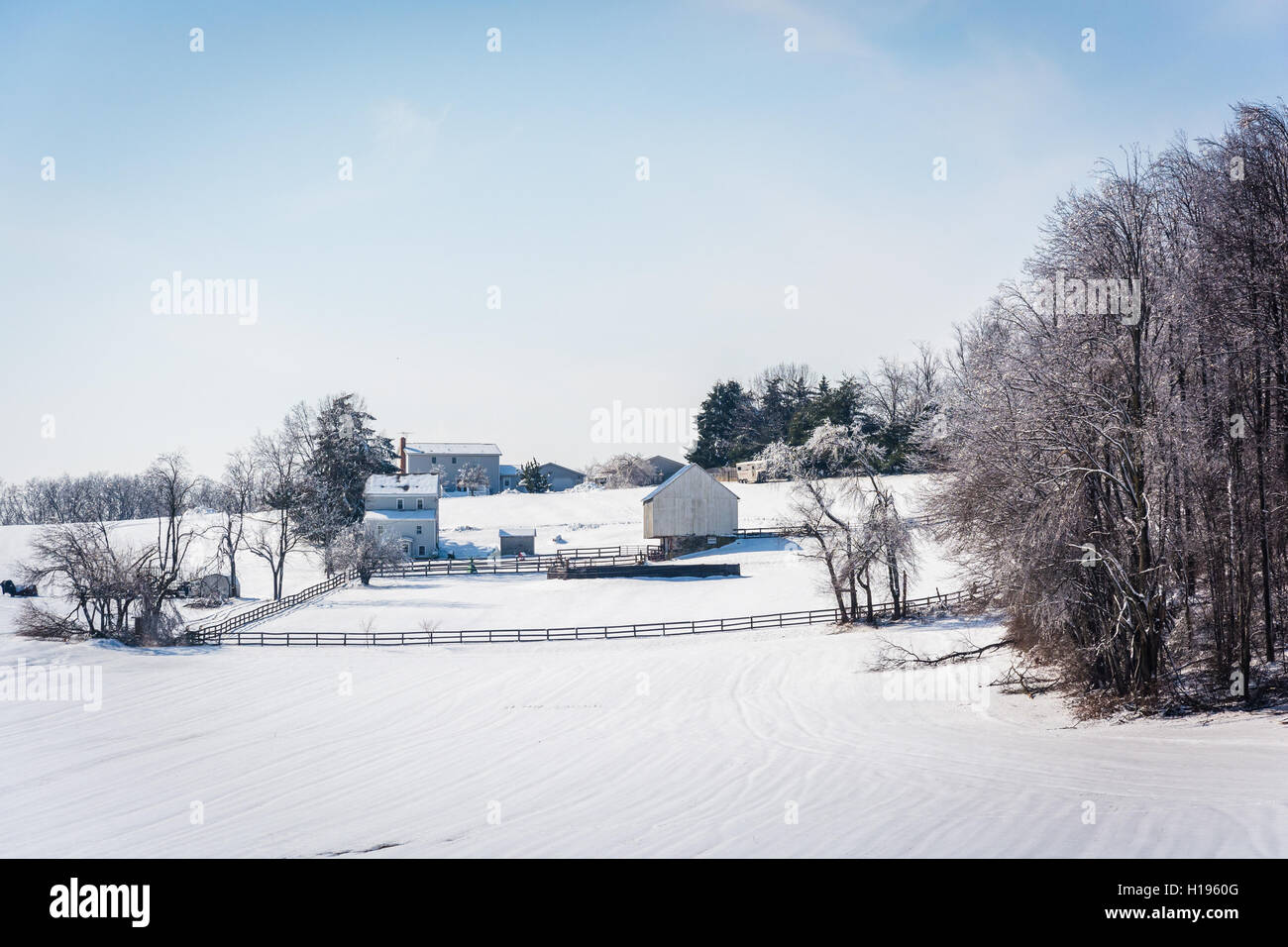 Vista invernale di una coperta di neve azienda agricola nelle zone rurali Carroll County, Maryland. Foto Stock