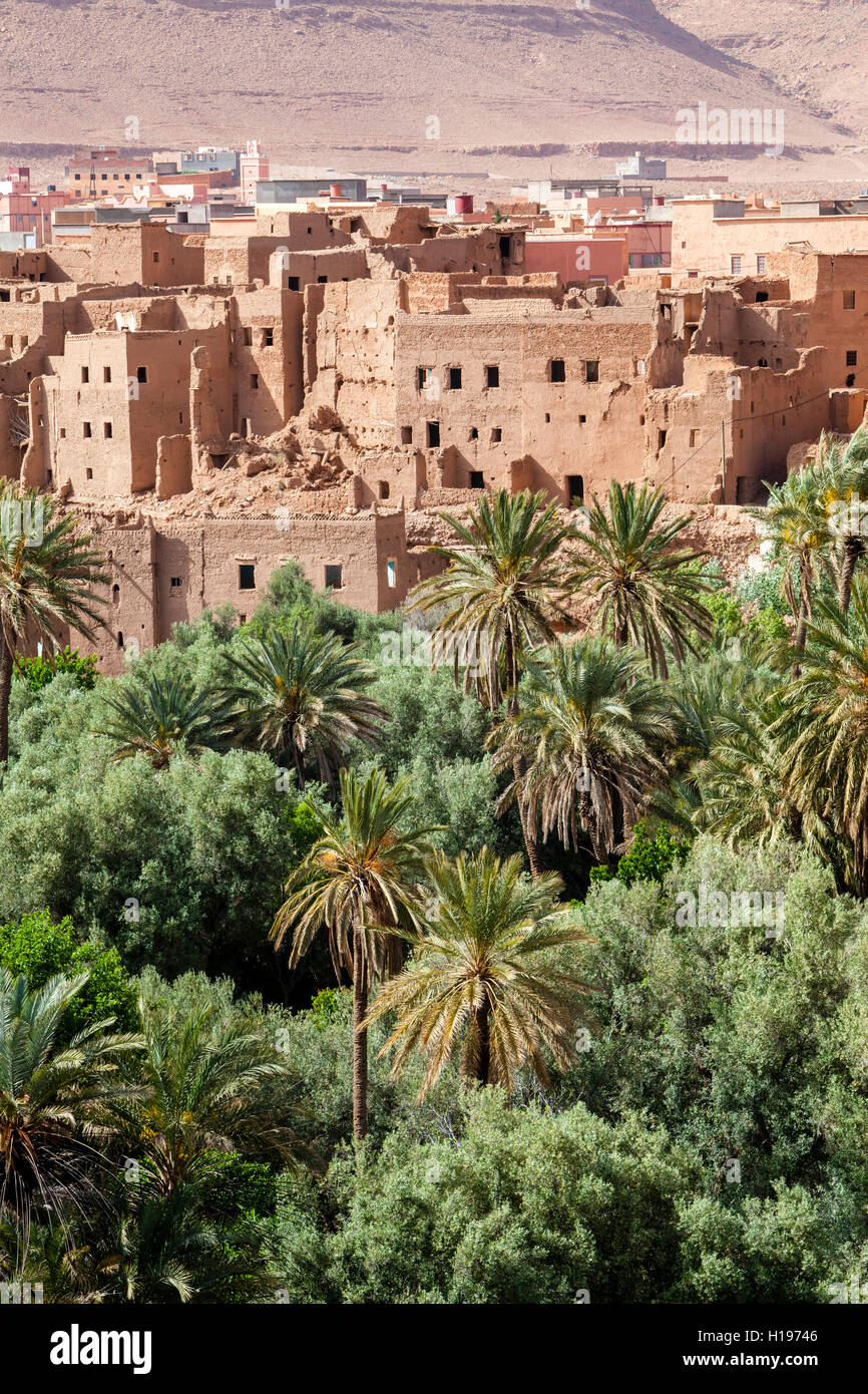 Tineghir, Marocco. Palmeraie oasi scena. Foto Stock