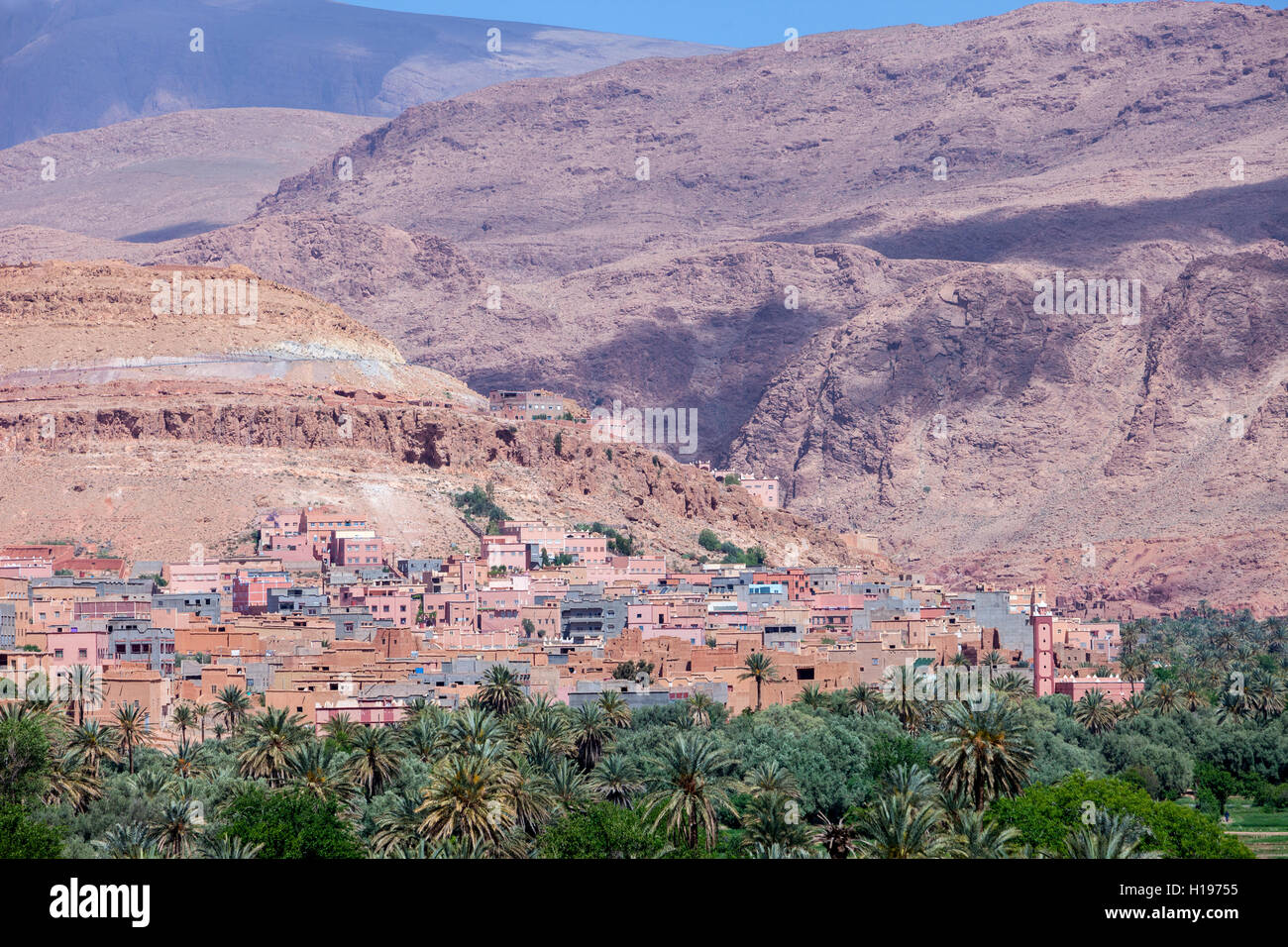 Oasi di Tineghir, Marocco. Palmeraie oasi scena. Foto Stock