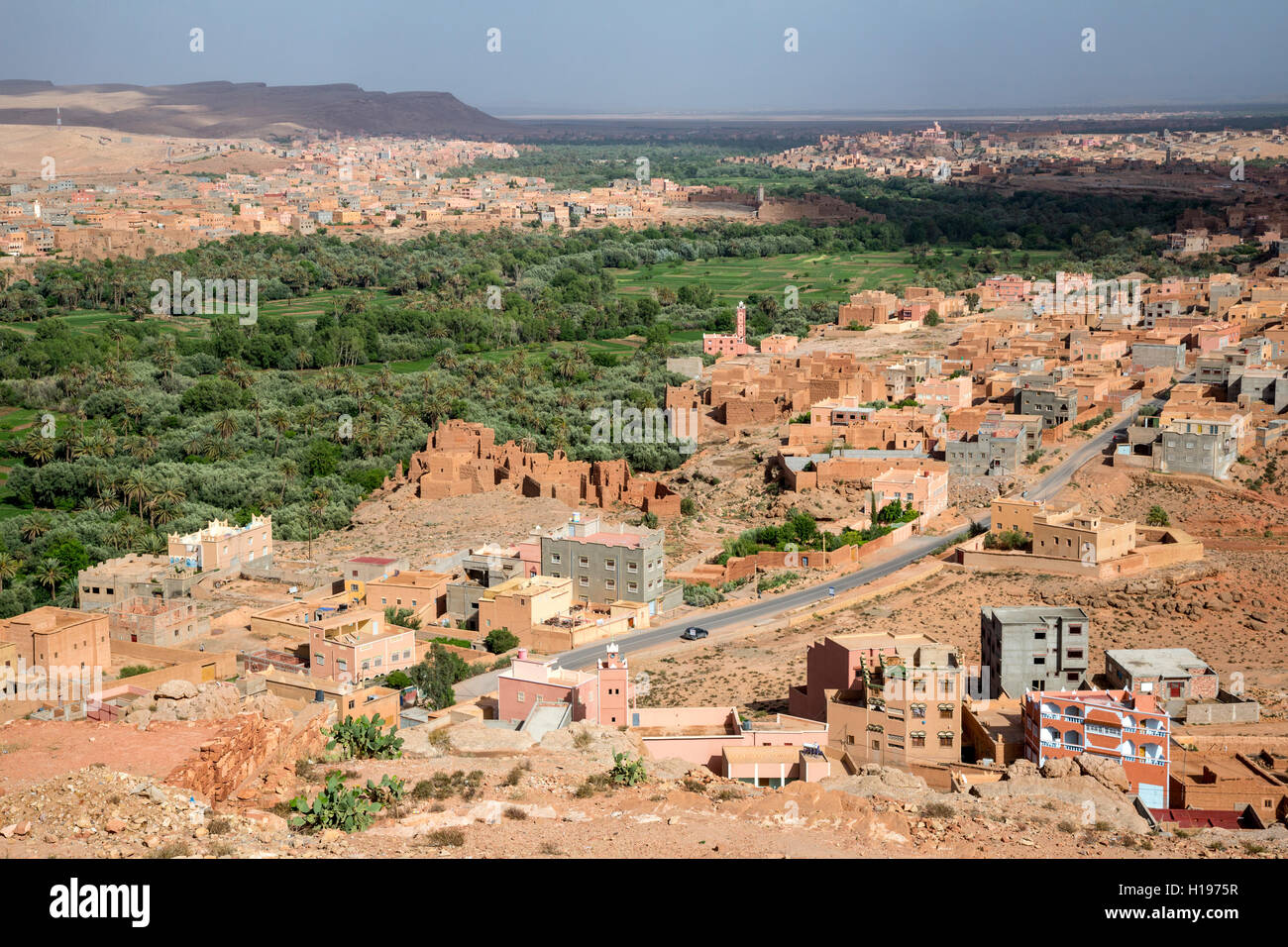 Tineghir, Marocco. Palmeraie oasi scena. Foto Stock