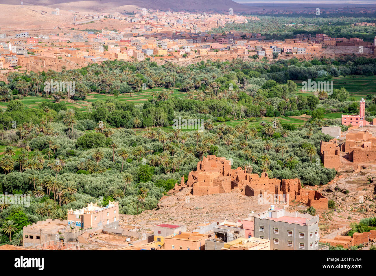 Tineghir, Marocco. Palmeraie oasi scena. Foto Stock