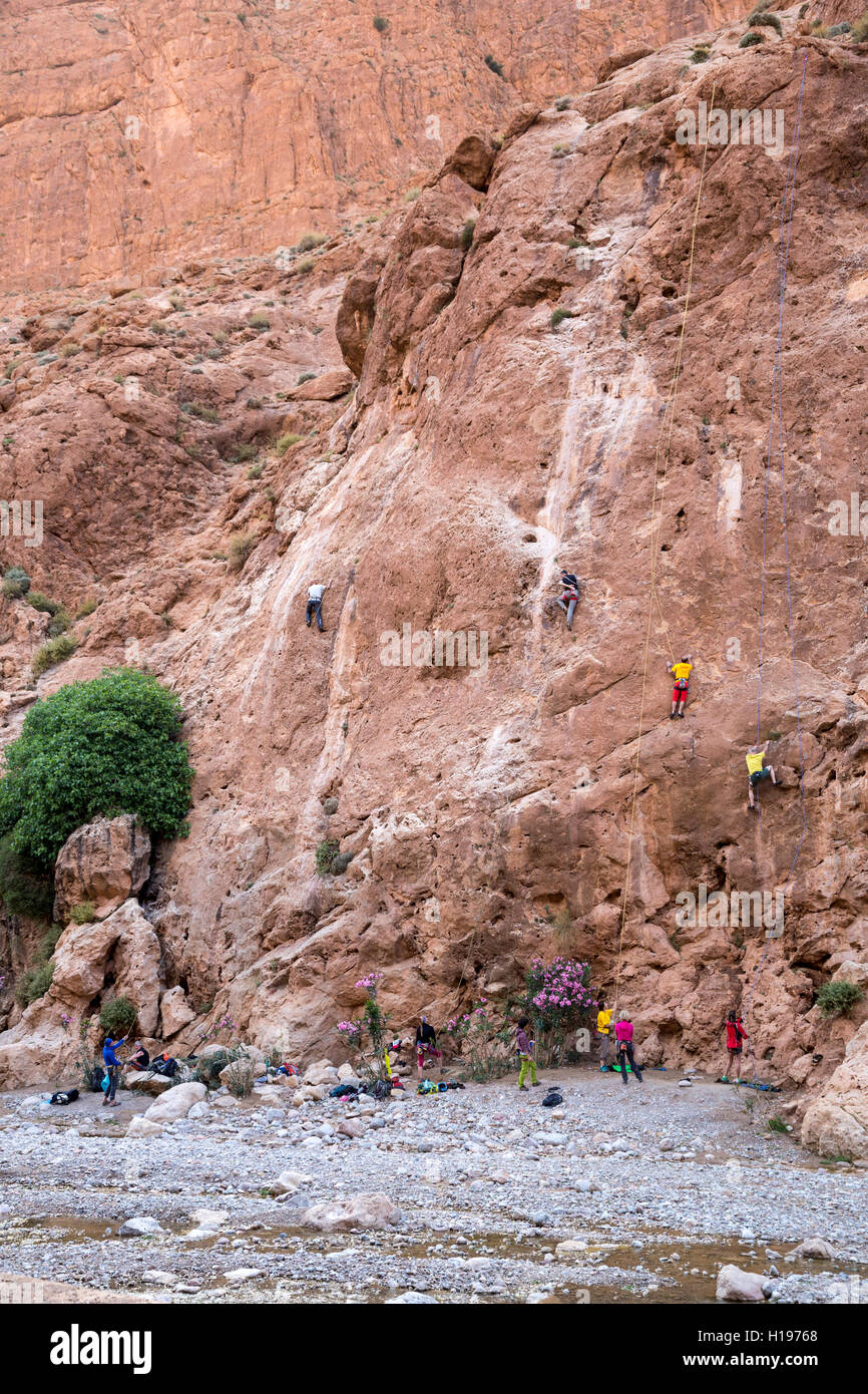 Todra Gorge, Marocco. Arrampicatori la levigatura la loro specialità. Foto Stock