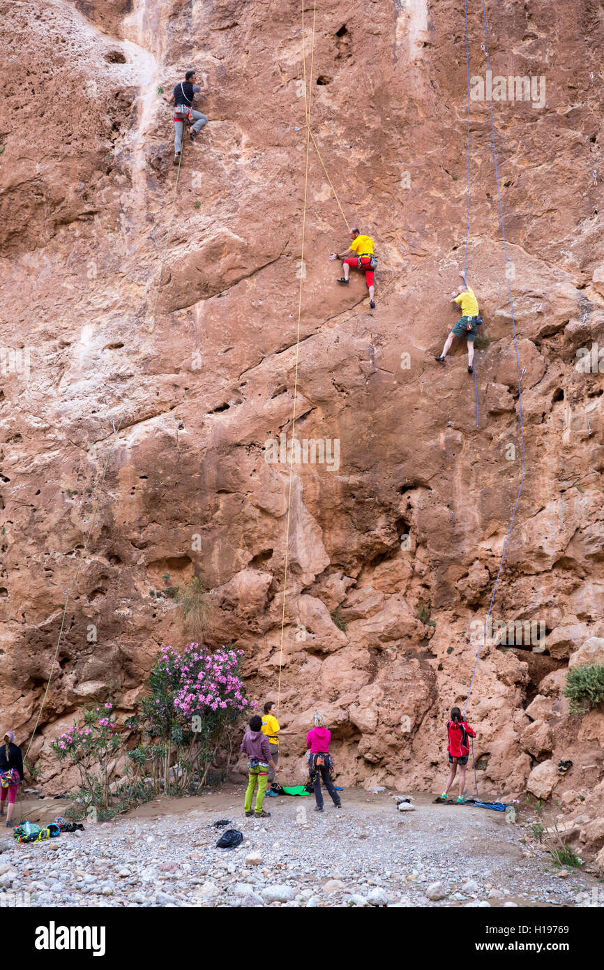 Todra Gorge, Marocco. Arrampicatori la levigatura la loro specialità. Foto Stock