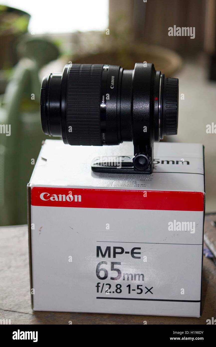 Canon lente macro Foto Stock