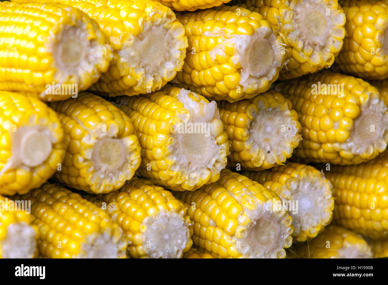 mais sulla pannocchia, pannocchie di mais bollite Foto Stock
