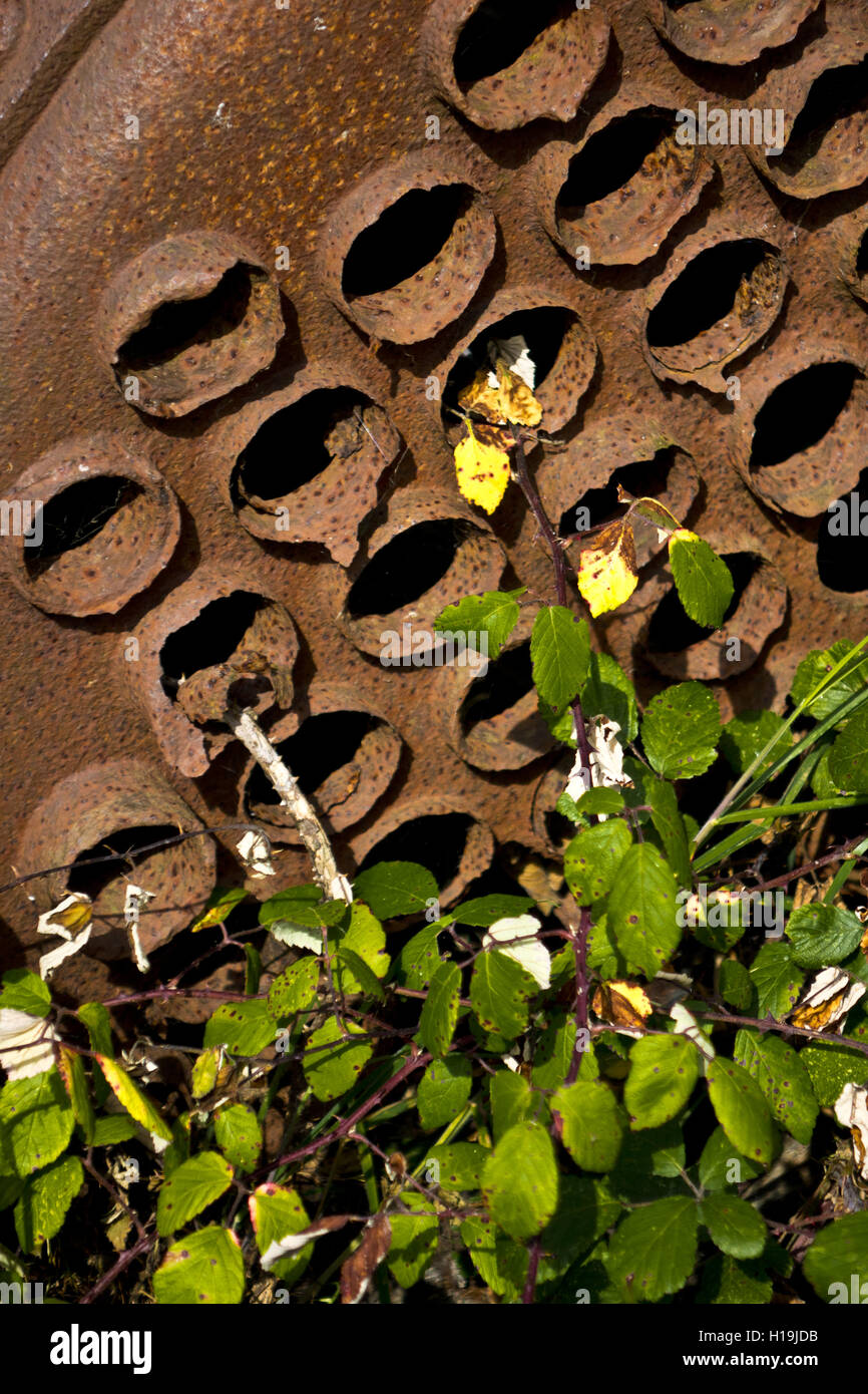 Ruggine vapore tubi per caldaie Foto Stock