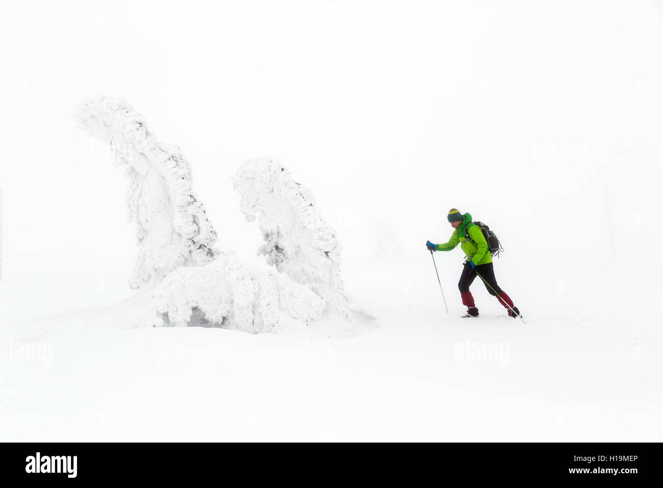 Escursione invernale di arrampicata in bianco inverno montagne innevate. L'uomo Escursionismo trekking in inverno. La ricreazione di viaggio fitness sani e vite Foto Stock
