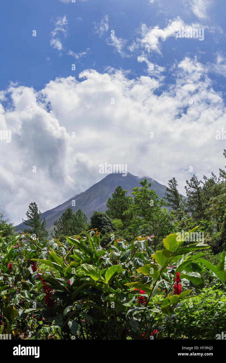 Classica forma a cono vulcano circondato da lussureggiante vegetazione tropicale e in rapido movimento di nuvole in La Fortuna de San Carlos, Costa Rica Foto Stock