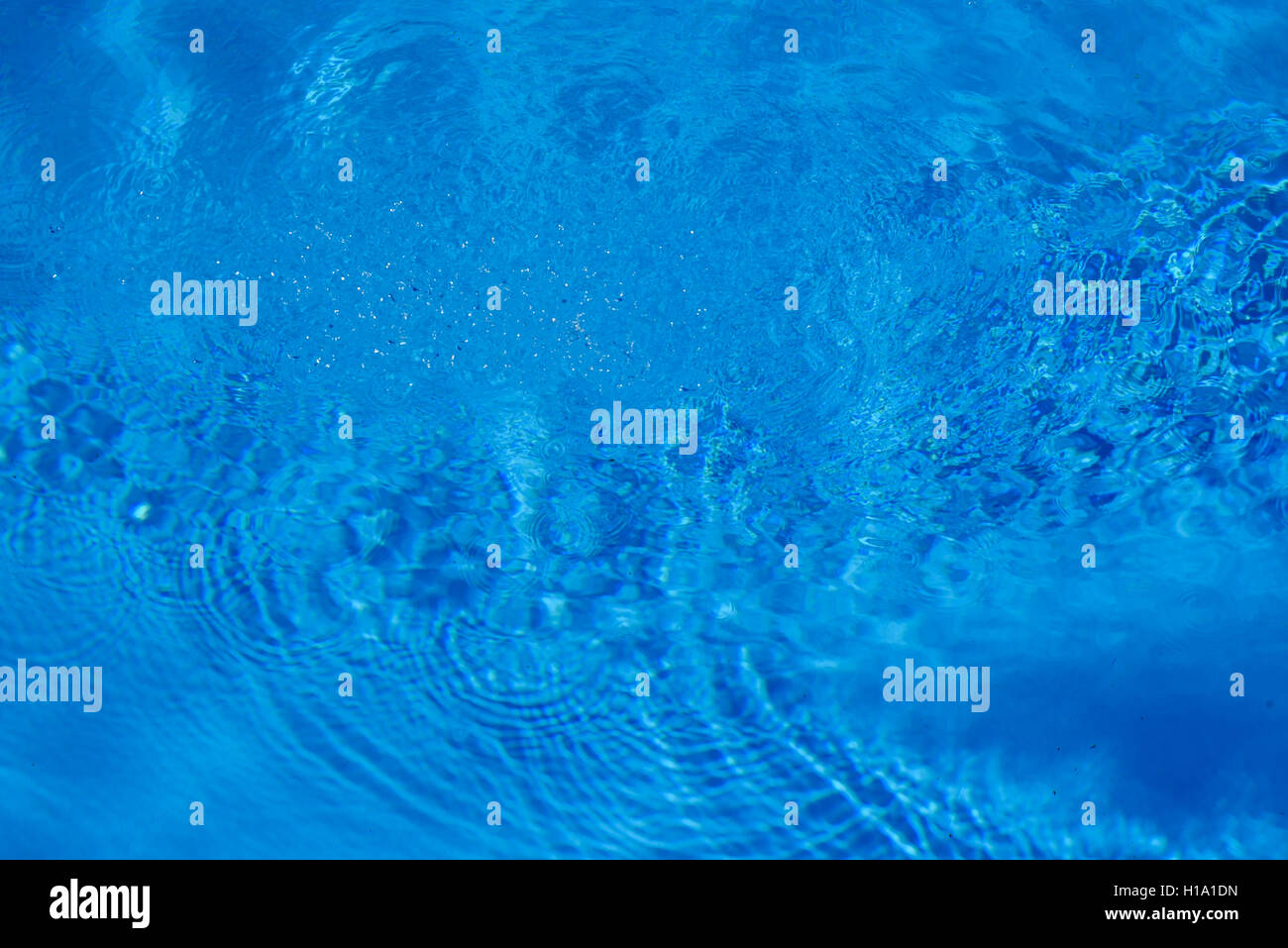 Blu acqua increspature di una piscina. Le gocce di acqua causare piccole ondulazioni su blu scuro superficie. Foto Stock